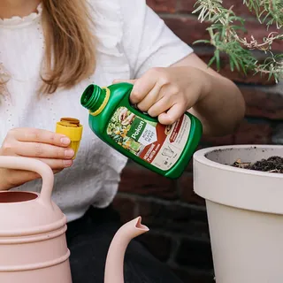 Pokon Bio Mediterrane Planten Voeding 500ml - afbeelding 3