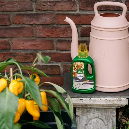 Pokon Bio Moestuin Voeding 500 ml - afbeelding 4