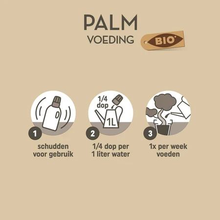 Pokon Bio Palm Voeding 250ml - afbeelding 4