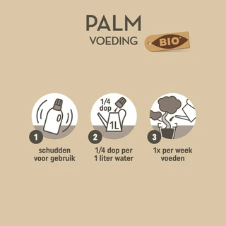 Pokon Bio Palm Voeding 250ml - afbeelding 4