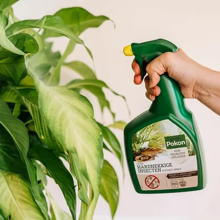 Pokon Bio Tegen Hardnekkige Insecten Polysect Spray 800ml - afbeelding 4