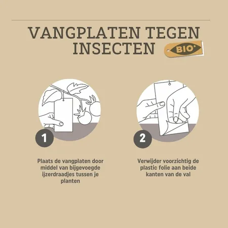 Pokon Bio Vangplaten Tegen Insecten - afbeelding 4