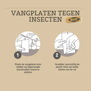 Pokon Bio Vangplaten Tegen Insecten - afbeelding 4