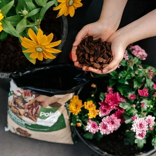 Pokon Boomschors Excellent 10L - afbeelding 4