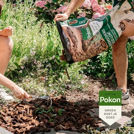 Pokon Boomschors Excellent 10L - afbeelding 5