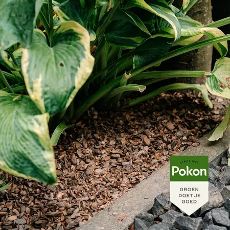 Pokon Cacaodoppen 40L - afbeelding 3