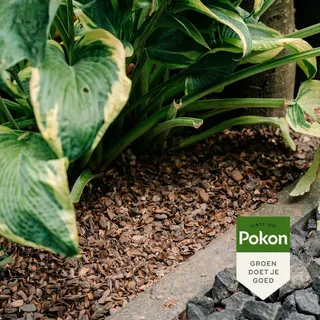 Pokon Cacaodoppen 40L - afbeelding 3