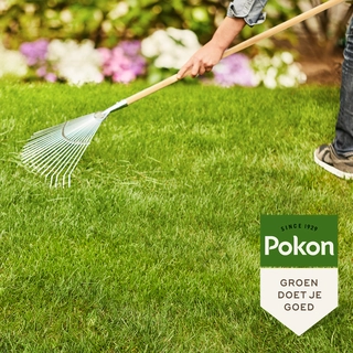 Pokon Gazonmest met Kalk 3-in-1 voor 75m2 - afbeelding 4