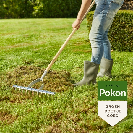 Pokon Graszaad Herstel SOS 250gr - afbeelding 4