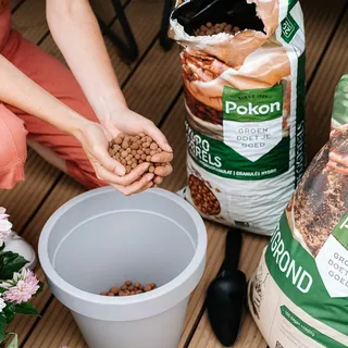 Pokon Hydrokorrels 20L - afbeelding 4