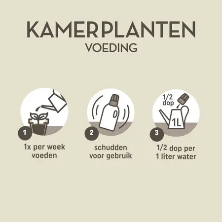 Pokon Kamerplanten Voeding 500ml - afbeelding 3
