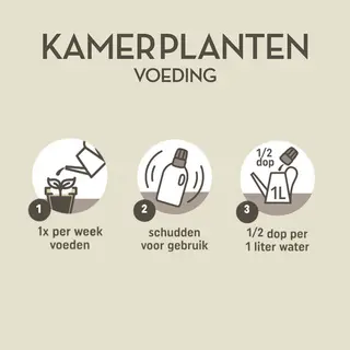 Pokon Kamerplanten Voeding 500ml - afbeelding 3