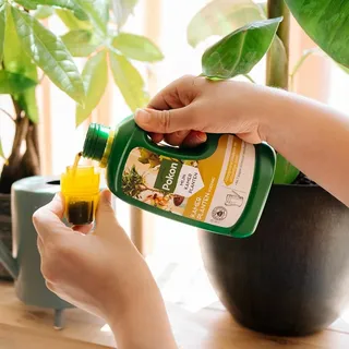 Pokon Kamerplanten Voeding 500ml - afbeelding 4