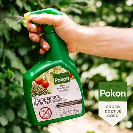 Pokon Tegen Hardnekkige Insecten