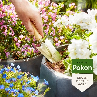 Pokon Terras & Balkon Planten Potgrond 40L - afbeelding 4