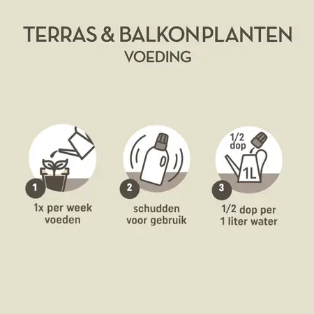 Pokon Terras & Balkon Planten Voeding 500ml - afbeelding 4