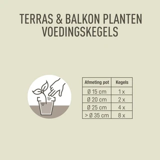 Pokon Terras & Balkon Planten Voedingskegels 40st