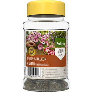 Pokon Terras & Balkon Planten Voedingskegels 40st
