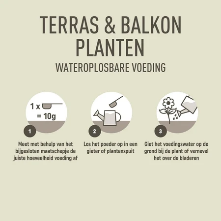 Pokon Terras & Balkon Planten Wateroplosbare Voeding 500gr - afbeelding 3