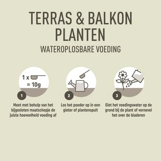 Pokon Terras & Balkon Planten Wateroplosbare Voeding 500gr - afbeelding 3