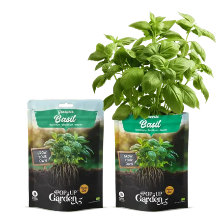 Pop-up Garden Basilicum - afbeelding 1