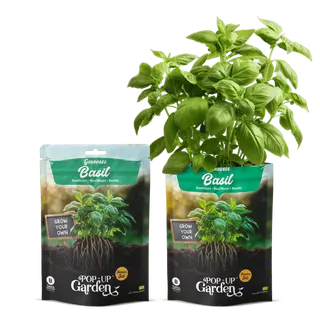 Pop-up Garden Basilicum