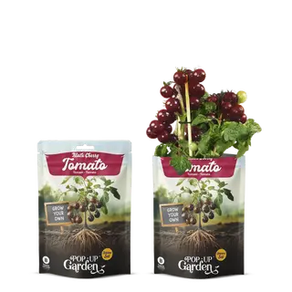 Pop-up Garden Donkere Cherrytomaat