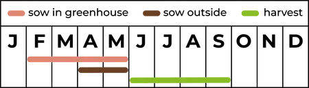 Pop-up Garden Lavendel - afbeelding 2