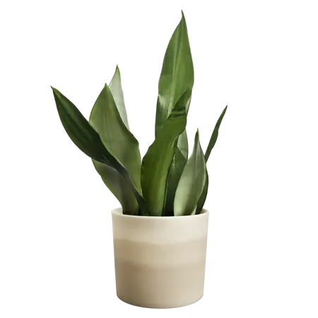 Pot Colour Gradient Rond - D14cm - Zandsteen Beige - afbeelding 4