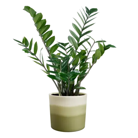 Pot Colour Gradient Rond - D18cm - Bamboegroen - afbeelding 4