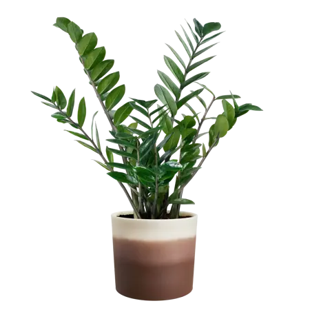 Pot Colour Gradient Rond - D18cm - Cederbruin - afbeelding 4