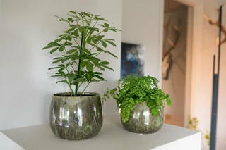 Pot Odile D10h8cm - Groen - afbeelding 2