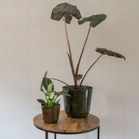 Pot Palermo D23h22cm Marble Brown - afbeelding 3