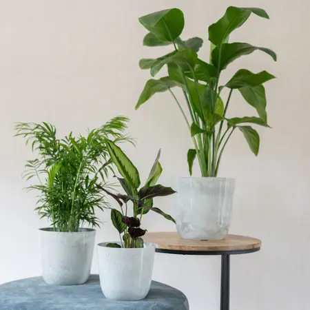 Pot Palermo D35h32cm Marble Cloud - afbeelding 3