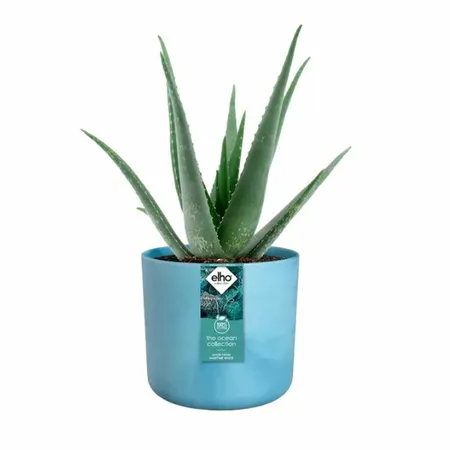 Pot The Ocean Collection - Atlantisch Blauw D16cm - afbeelding 4