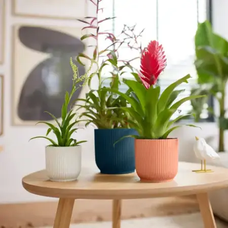 Elho - Pot Vibes Fold D11cm - Zijdewit - afbeelding 5