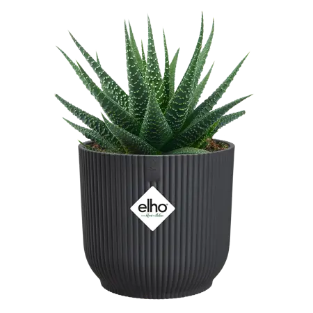 Pot Vibes Fold D7cm Antraciet - afbeelding 2