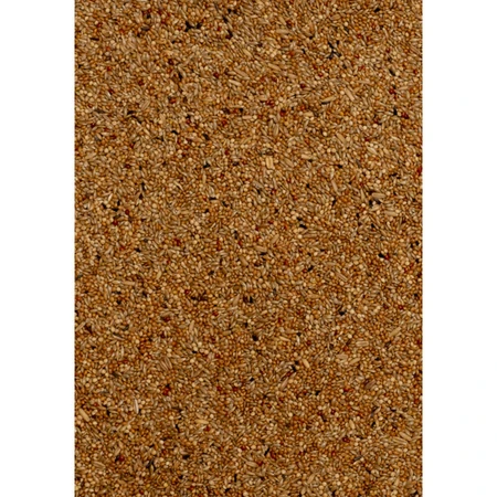 Premium Parkiet 1 kg - Deli nature