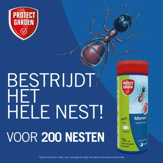 Protect Garden Fastion KO mierenpoeder - 400g - afbeelding 2