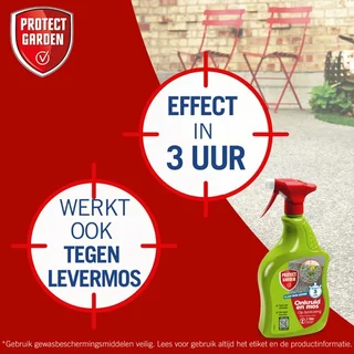 Protect Garden Flitser Express Spray - tegen Onkruid en Mos - 1L - afbeelding 4