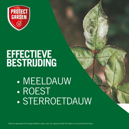 Protect Garden Rosacur concentraat teegn schimmels - 50ml - afbeelding 3
