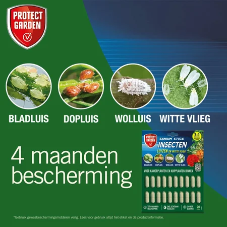 Protect Garden Sanium stick - 20 stuks - afbeelding 3