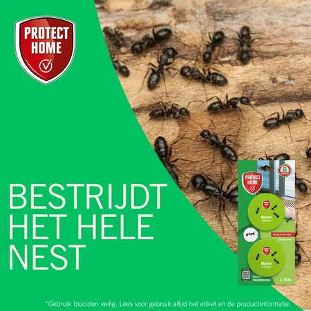 Protect Home Fastion Mierenlokdoos - 2 Stuks - afbeelding 3