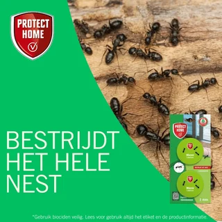 Protect Home Fastion Mierenlokdoos - 2 Stuks - afbeelding 3