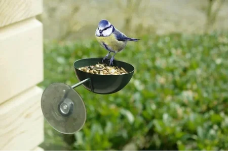 Raamvoederbakje Donkergroen - afbeelding 2