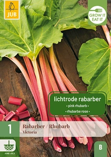 Rabarber Victoria 1st