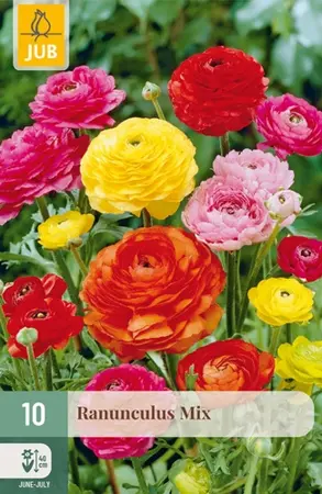 Ranunculus Mix - 10 bloembollen