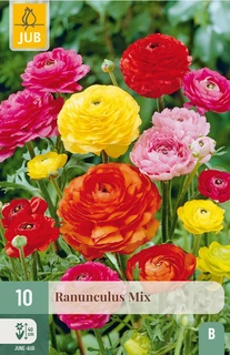 Ranunculus Mix - 10 stuks