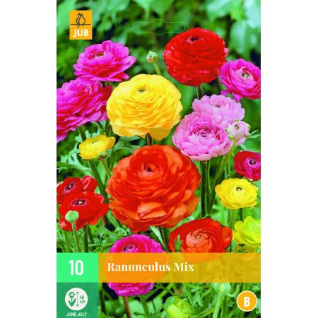Ranunculus Mix - 10 bloembollen