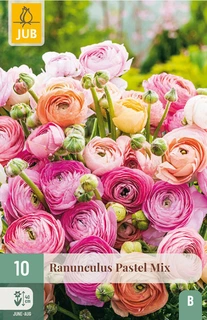 Ranunculus Pastel Mix - 10 bloembollen